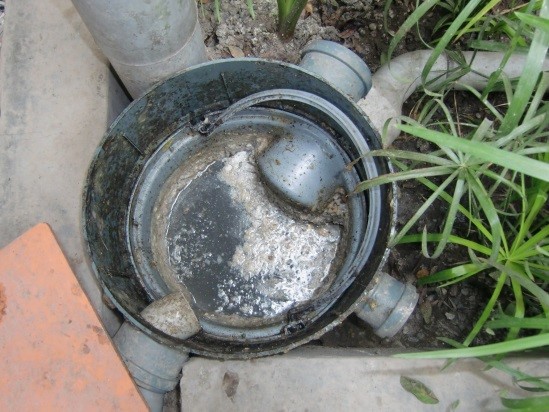 Oil/Water Separator Management Program